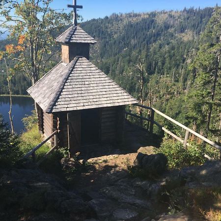 Готель Landhaus Arberkristall Баєріш-Айзенштайн Екстер'єр фото